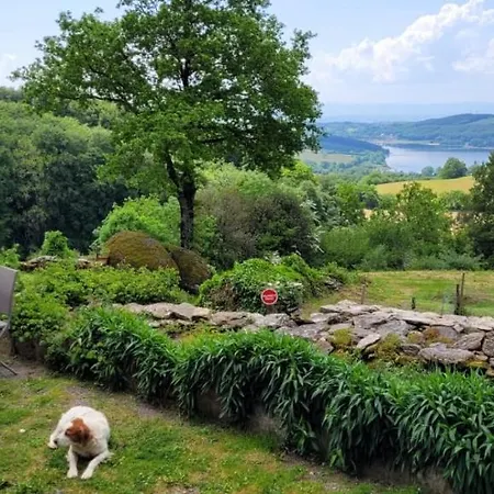 別荘 A La Tour De Peyrebrune